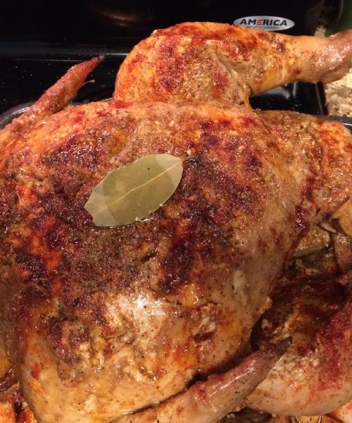 Happy Thanksgiving Turkey photo 1